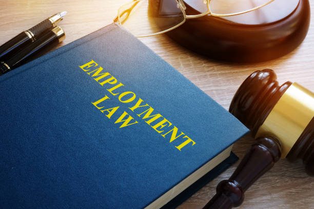 Terms and Conditions of Employment – ICLG to Employment and Labour Law 2022
